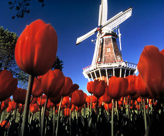 Online Gaming Regulation News for the Netherlands