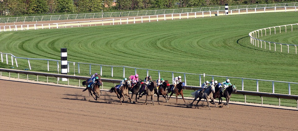 Regulated Sports Betting Boosts Michigan Horse Racing Business