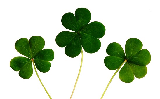 Gaelic Athletic Association Axes Betting Sponsorships