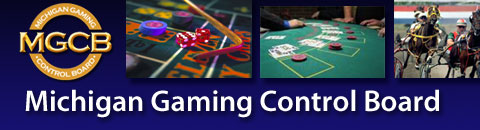 Michigan Gambling Regulators Call Daily Fantasy Sports 'Illegal'