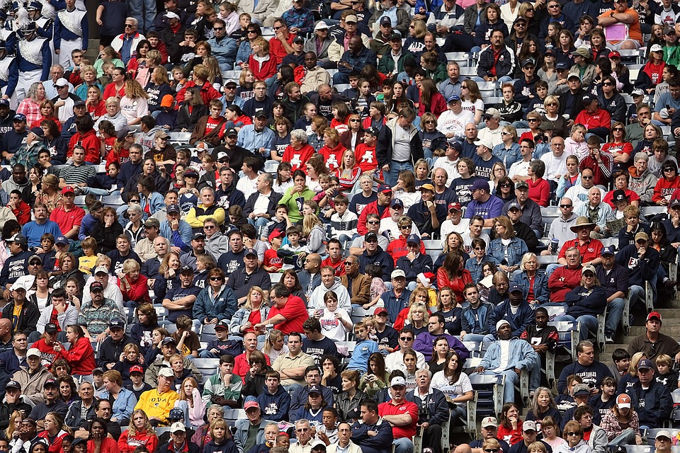 Sports Betting Heaven: Making the Most of Super Bowl 50