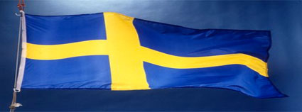 Microgaming Arrives In Sweden