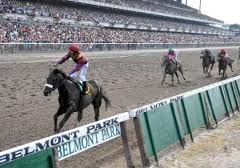 New York Horse Racing Privitization a Possiblity