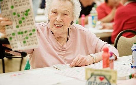 Online Bingo Players and Market Updates