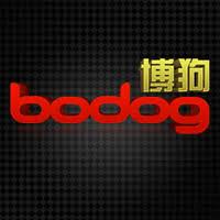 Bodog Site Chases UK Asian Demographic