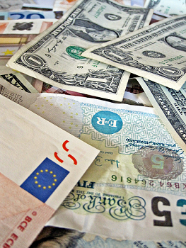 The Forex Niche: What You Really Need to Know