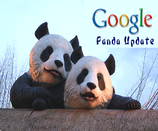 Latest Google Panda Update Information