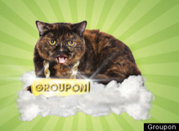 Groupon Unveils Global Affiliate Network