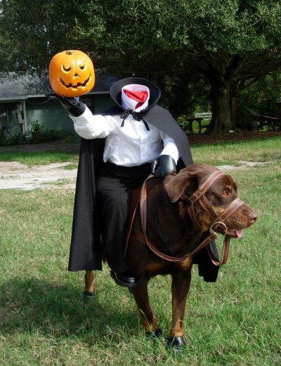 CAP Money: The Halloween Edition