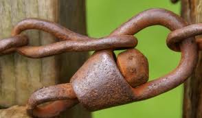 Is Link Building Really Dead?