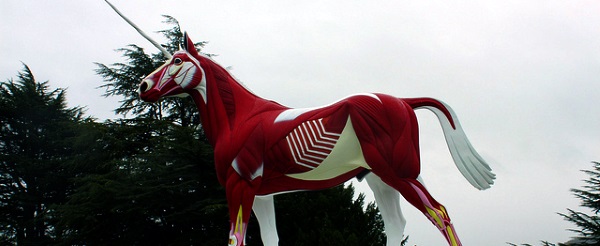 10 SEO Myths You Need To Heed