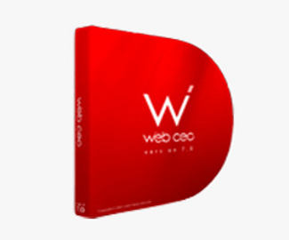 Web CEO Product Review