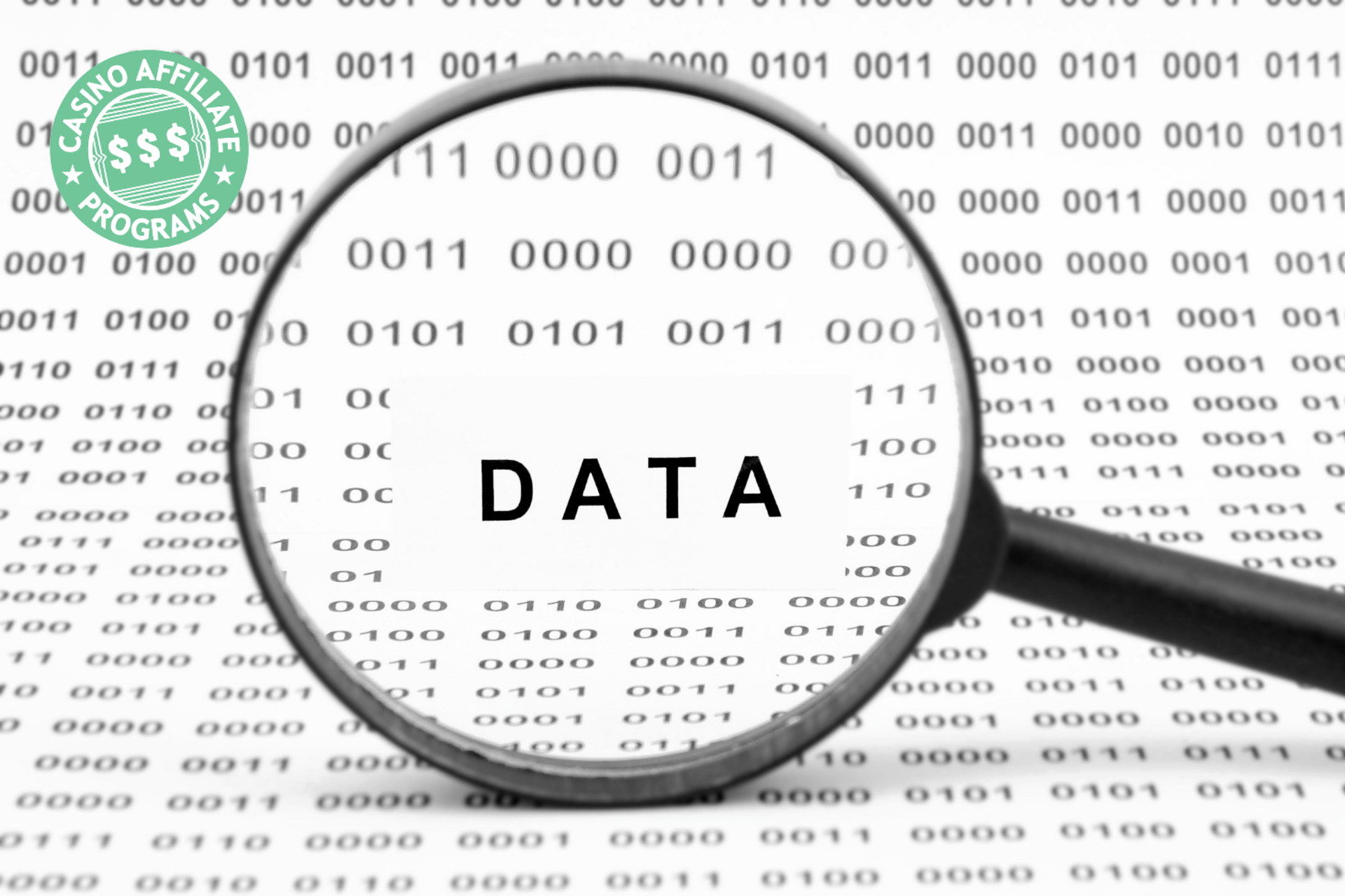 A Quick Guide to Data Collection, Storage and Management