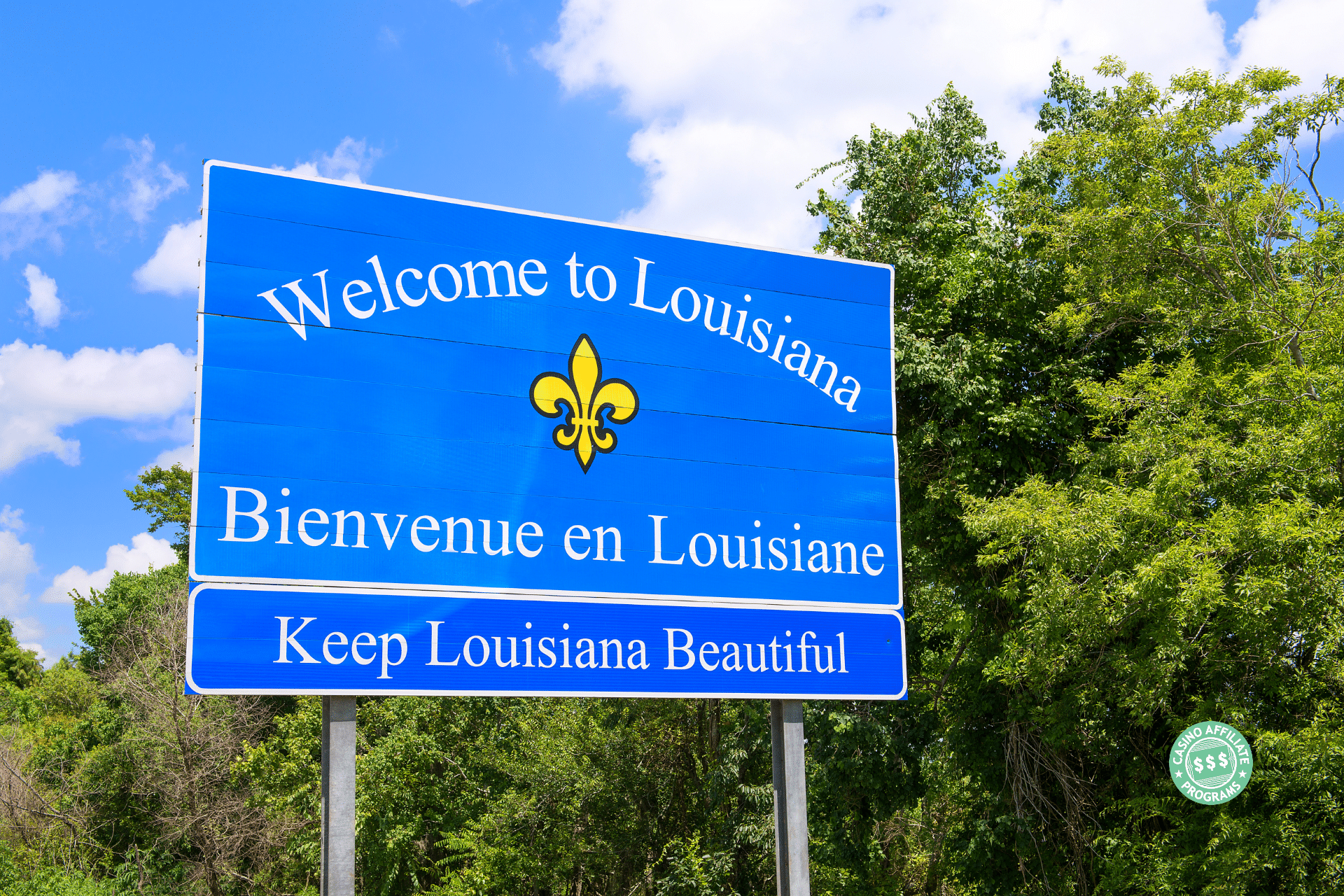 Assessing the Louisiana Market