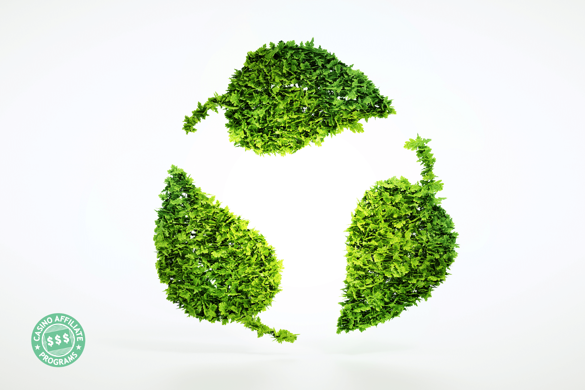 Sustainability: Why It Matters for You as an Affiliate