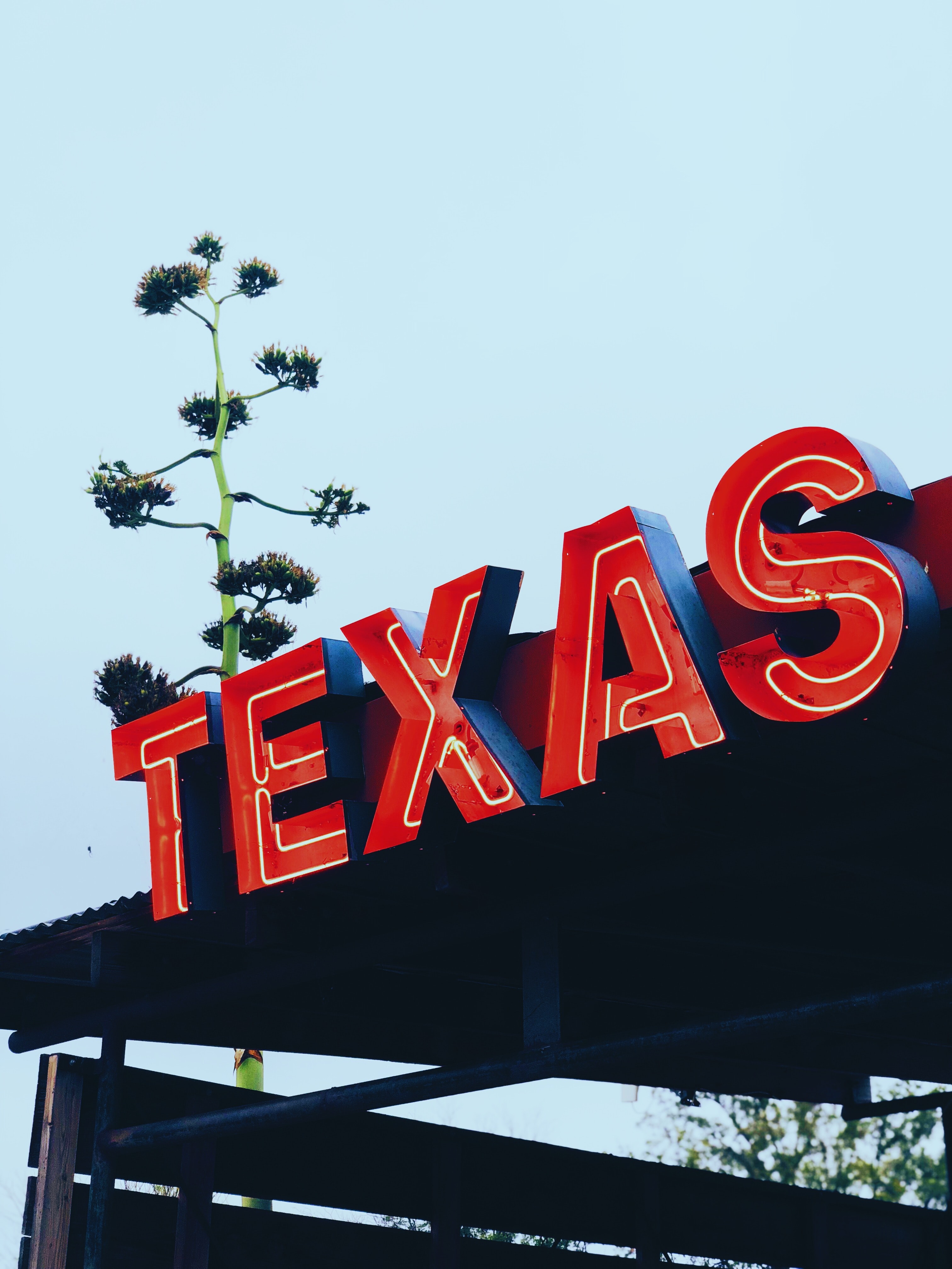New Survey Finds Strong Support for Regulated Texas Gambling
