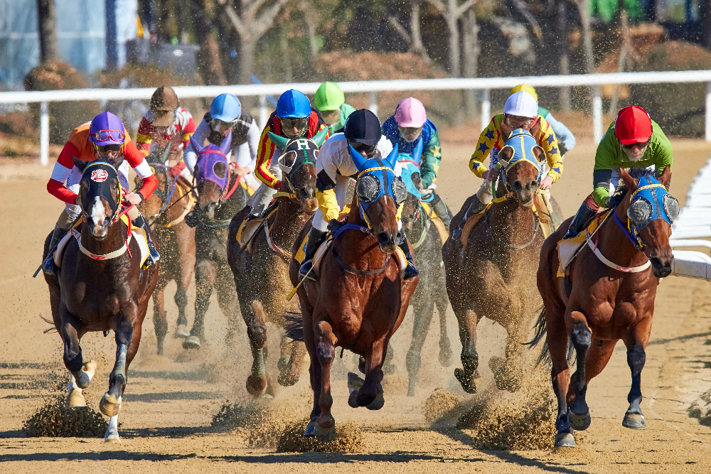 William Hill Brings Promotional Efforts to Boxing Day Race